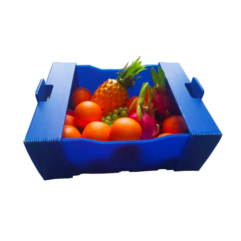 JIAGU Food & Agriculture Fresh Fruit