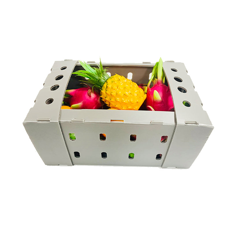 JIAGU Food & Agriculture Fresh Fruit