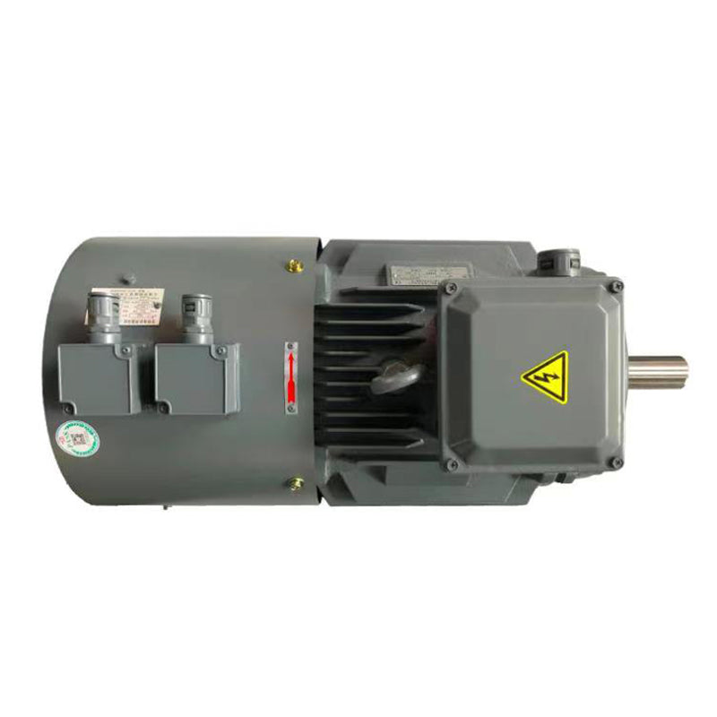 XIANWEI Variable frequency motor with encoder, all copper motor, large high-efficiency motor