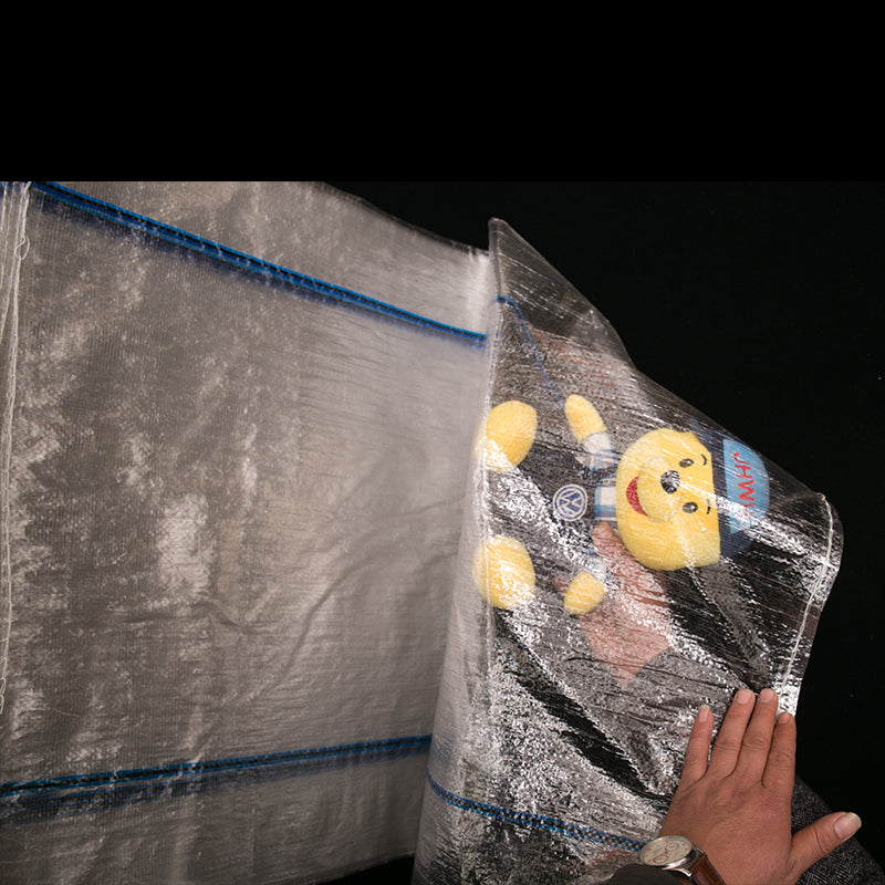 WANXIN  Transparent woven bag