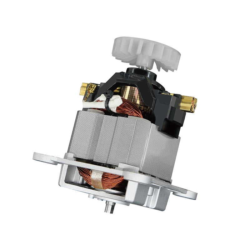 NAISHI Smoothie machine E668Q