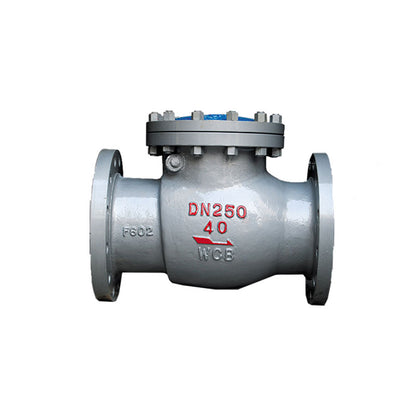 TeDa  Stainless steel swing check valve CHECK VALVE DN15～DN1600(Price please ask customer service) Check valves for gases High Temperature Resistant Backflow Proof