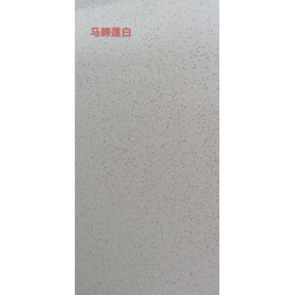 Lanhai Granite Plate 2.7*1.8*（14）(Price please ask customer service)