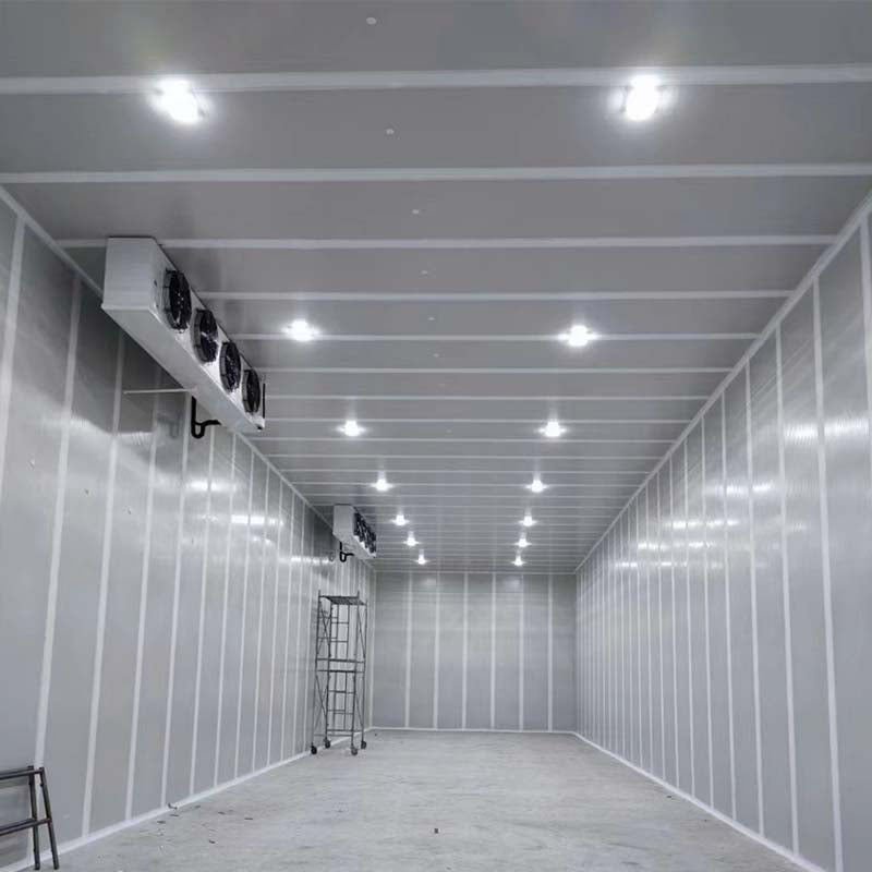 LINGSHUN  refrigeratory   Customized Cold Storage Professional Cold Storage Construction
