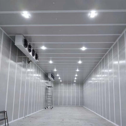 LINGSHUN  refrigeratory   Customized Cold Storage Professional Cold Storage Construction