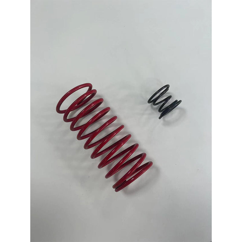 Lirui Compression spring(Customized products, price consultation customer service)