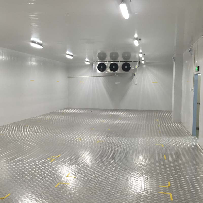 LINGSHUN  refrigeratory   Customized Cold Storage Professional Cold Storage Construction