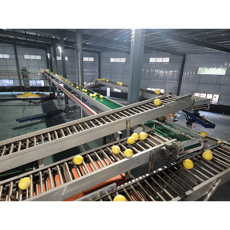 Hengfeng High altitude fruit conveyor belt Width 600mm-660mm(Customized products, price consultation customer service)