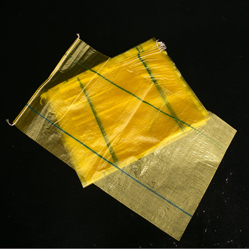 WANXIN  Transparent woven bag