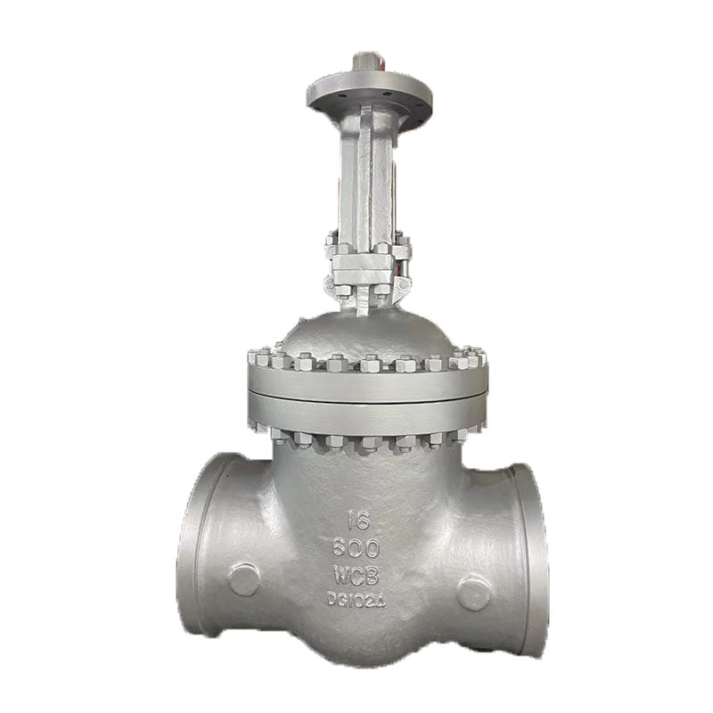 TeDa  Stainless steel swing check valve CHECK VALVE DN15～DN1600(Price please ask customer service) Check valves for gases High Temperature Resistant Backflow Proof