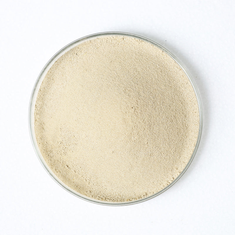 ShiChang Mixed feed additives - Bacillus licheniformis 250g/bottle Starting lot 20 bottles/case Intestinal Stabilization Weight gain and fattening Flora Balance Enhance immunity