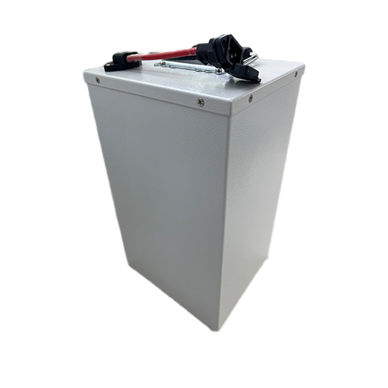 LAIDI  li-ion battery 60V30AH