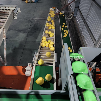 Hengfeng High altitude fruit conveyor belt Width 600mm-660mm(Customized products, price consultation customer service)