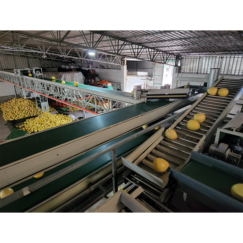 Hengfeng High altitude fruit conveyor belt Width 600mm-660mm(Customized products, price consultation customer service)